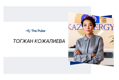 Почему в Казахстане активно не развиваются политические партии